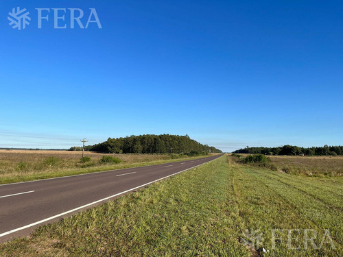Venta De Campos En Santa Rosa - Concepción - Corrientes