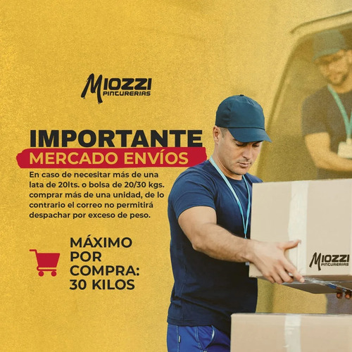Dessutol Latex Pro X 25kg-venier Blanco Mate