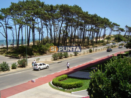 Imagen 3 de 21 de Sobre El Mar Lindisimo Vista Franca