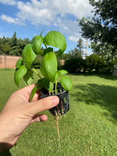 Torre Hidroponica Kit Completo - Hidroponia 12 Plantas