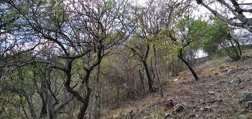 Imagen 4 de 5 de Impornente Terreno Con Vista Al Lago Costa Azul