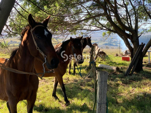 Venta De Chacras, Camino Valdivia, Maldonado- Ref: 1559