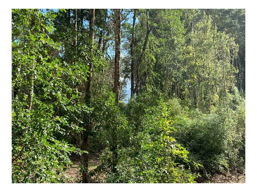 Imagen 4 de 10 de Exclusivo Sitio En Venta - Las Cascadas, Puerto Octay