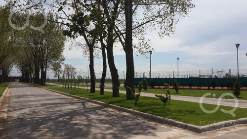 Imagen 4 de 5 de Terreno - La Alameda