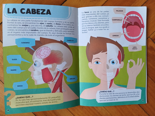 Puzzle 200 Pz Con Libro- El Cuerpo Humano Sassi (Usado)