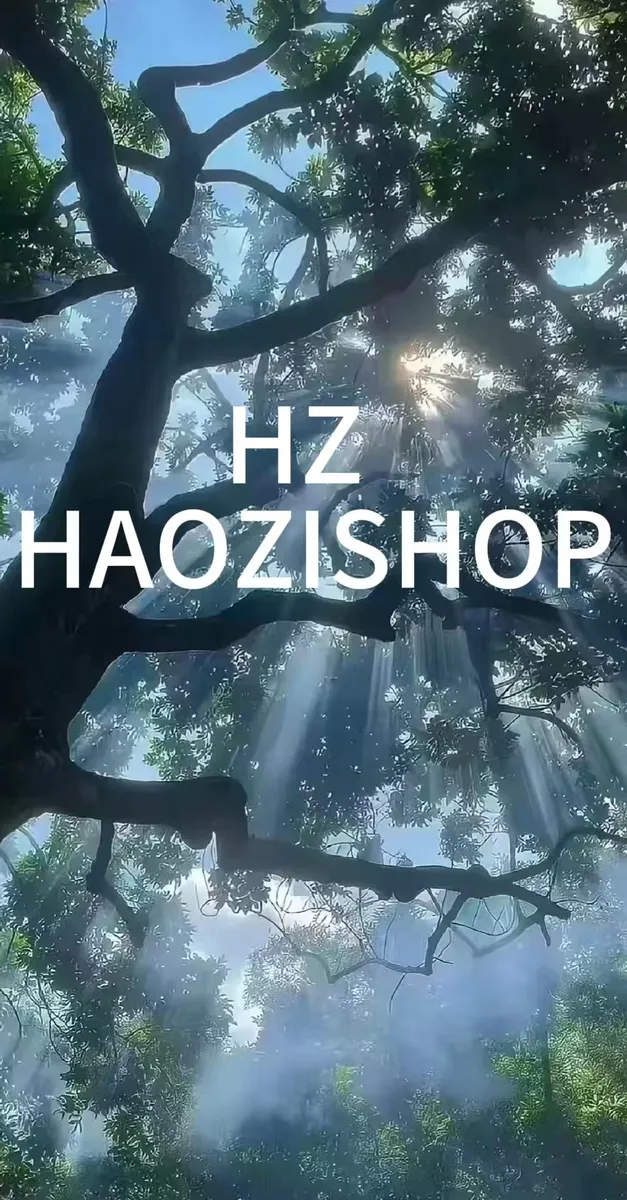 HAOZISHOP