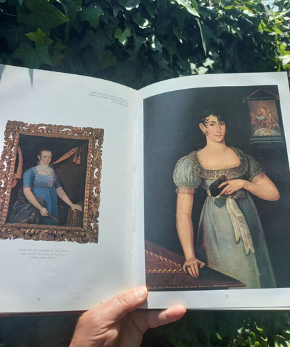 Libro Ilustrado De La Imagen Femenina En La Pintura Chilena (Usado)