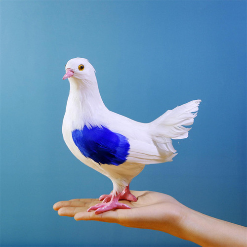 Y Artificial Pigeon Model Artificial Bird For Yard