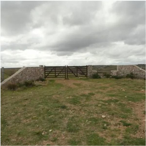 Campo En Venta