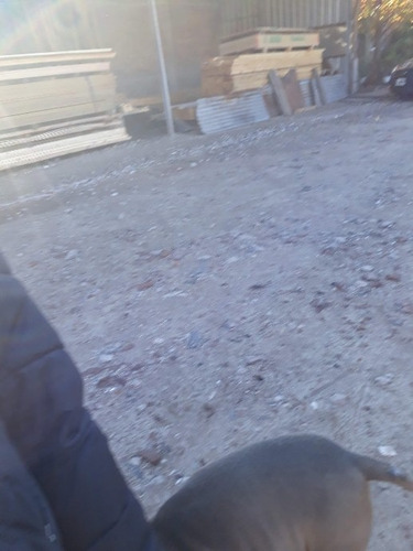 Imagen 3 de 5 de Galpon En Venta En Lanus Este