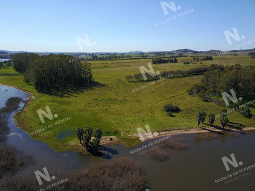 Imagen 6 de 14 de Chacra En Venta Laguna Del Sauce - Punta Ballena Laguna Del Sauce