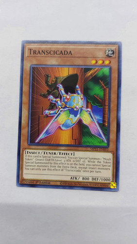 Transcicada Comun Yugioh