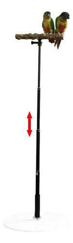 Bird Perch Parrot Training Playstand Con Base De Ejercicio