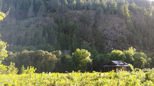 Imagen 13 de 16 de Venta De Excelente Cabaa Sobre Chacra De 1 Ha - El Hoyo
