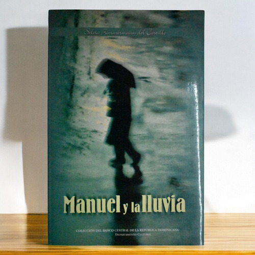 Manuel Y La Lluvia Silvia Zimmermann Del Castillo C221