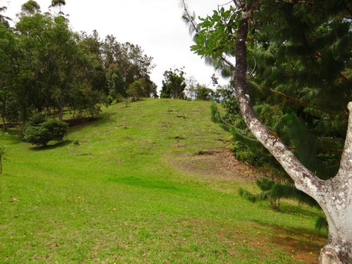 Imagen 29 de 30 de Casa Finca Campestre En Venta Vía Rionegro La Ceja Yrm 2