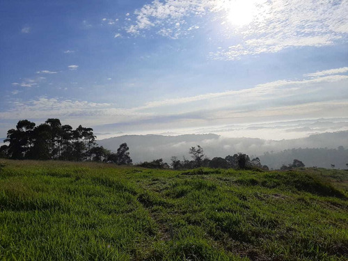 Imagem 8 de 10 de Lotes Plainos E Limpos Em São Roque