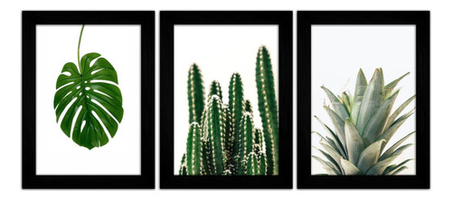 Trio Quadros Decorativos Sala Varanda Plantas Flores Cacto