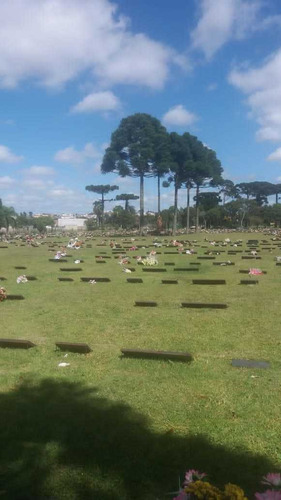 Imagem 13 de 14 de Jazilo No Cemitério Jardim Da Saudade ...