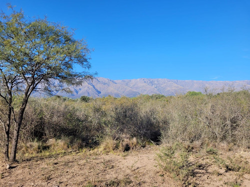 Terreno En San Javier Córdoba Traslasierra Lotes Venta
