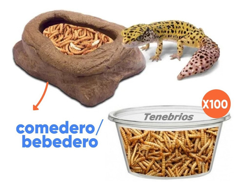 Comedero Bebedero Terrario Reptiles Gecko Pogona Tenebrios