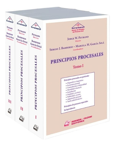 Principios Procesales - Obra Completa De 3 Tms Peyrano (rc)