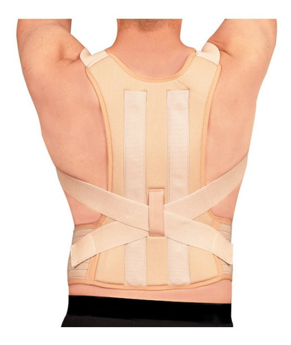 Faja Dorso Lumbar Elastica Beige 2 Varillas Benesta