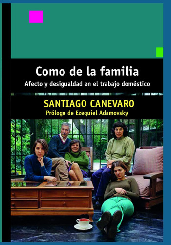 Libro: Como De La Familia: Afecto Y Desigualdad En El Trabaj