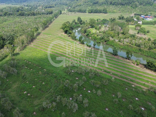 Increíbles Terrenos En Venta Frente Al Estero En Juana Moza, Tuxpan Ver.