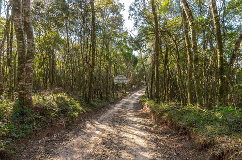 Imagem 13 de 30 de Chácara - Residencial - 936672
