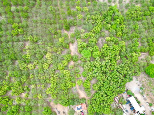 Terreno En Venta En Las Varas, Nayarit