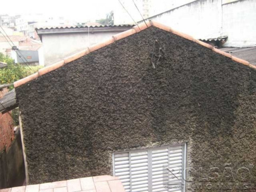 Imagem 4 de 8 de Casa - Casa Verde - Ref: 4306 - V-4306