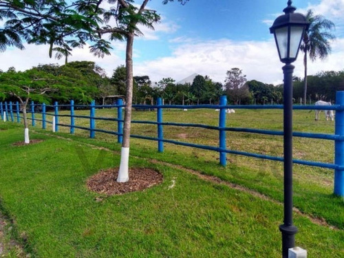 Imagem 16 de 30 de Sitio Cinematográfico À Venda Em Itu, Região Nobre De São Paulo. Ideal Para Moradia E Lazer. Excelente Oportunidade!!! - 54 - 70054601