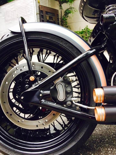 Imagem 3 de 14 de Harley Davidson Softail