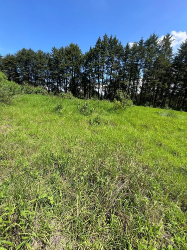 Terreno Semiplano Para Desarrollar En El Fresno