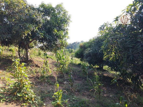 Imagem 24 de 24 de Linda Chácara Com 2 Dormitórios, Piscina, Jardim, Pomar, À Venda, 5523 M² Por R$ 380.000 - Zona Rural - Pinhalzinho/sp - Ch1230