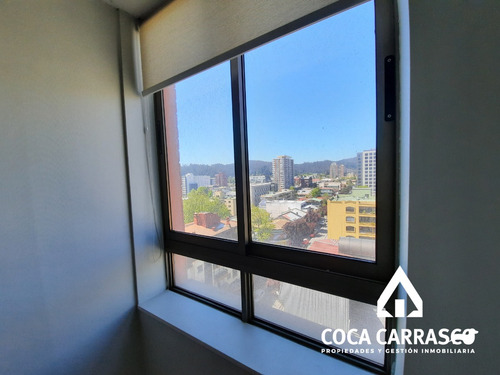 Depto Ubicacion A Pasos Udec Udd Centro 3d 2b +e+b