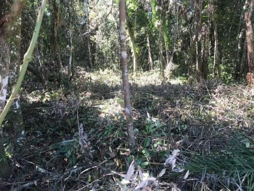 Terreno De 415 Mts Em Itanhaém Litoral Sul | 15 Mil Entrada