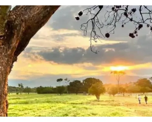 Venta De Lotes En Acacias Meta