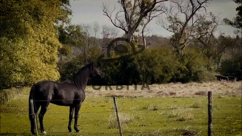 Lote En Venta En Estancia Carabassa, Pilar, Al Verde