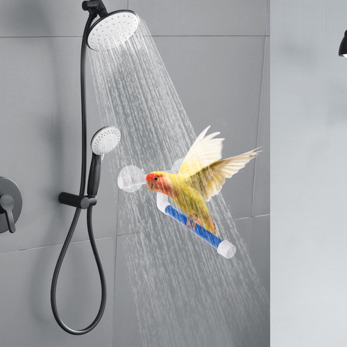Perca De Baño Para Distro De Bird Perra De Diro De Parrot Pi