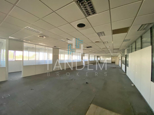 Imagen 8 de 8 de Predio Único 32.000 M2 Con Gran Playón Y Espectacular Galpón En Acc. Tigre Y 202, Sobre Autopista