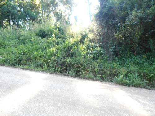 Imagem 3 de 15 de Terreno Para Venda Em Quatro Barras, Jardim Orestes Thá - Te-030_2-171081