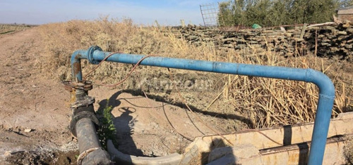 Venta De Finca Productiva En La Heras 31 Hs De Viñedos Y Riego Por Goteo