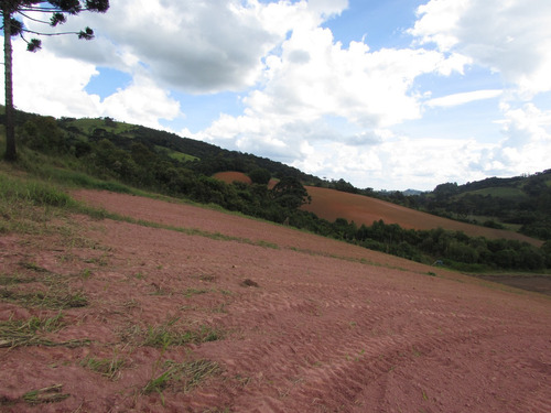 Fazenda De 30 Alqueires, No Sul Minas, Região Extrema Mg