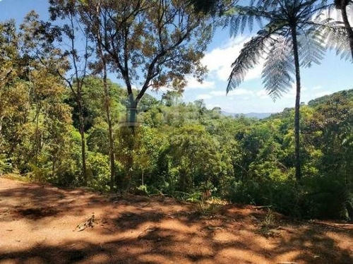 Terreno Rural Para Sítio À Venda Em Brusque/sc - 1192