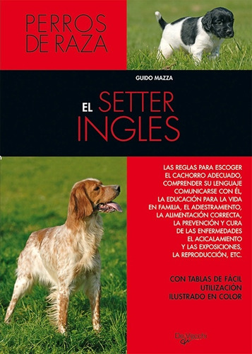 Setter Ingles - Perros De Raza ,el - Guido Mazza