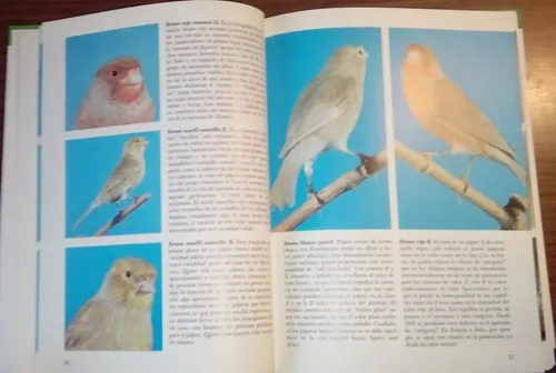 Libro: Canarios, Todas Las Razas Y Variedades