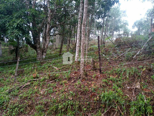 Imagem 7 de 26 de Terreno, Dos Neves (caucaia Do Alto), Cotia - R$ 210 Mil, Cod: 4254 - V4254