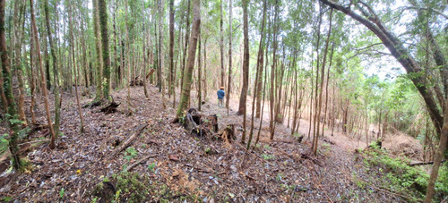 Terreno En Polincay Pto Montt, Conecta Con La Naturaleza